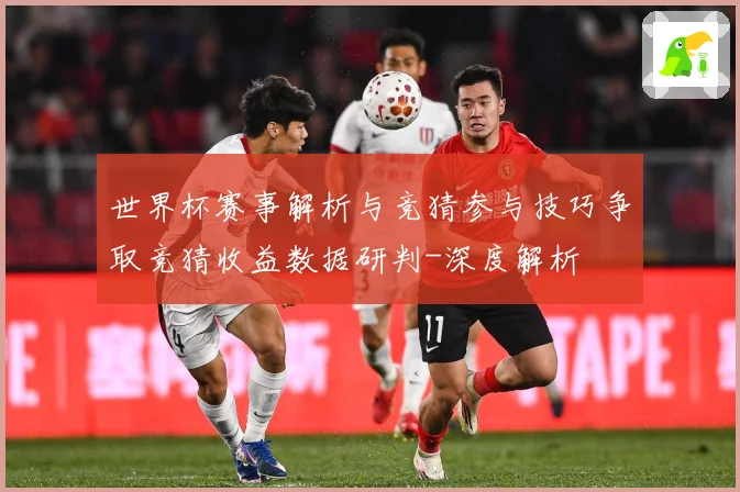 世界杯赛事解析与竞猜参与技巧争取竞猜收益数据研判-深度解析
